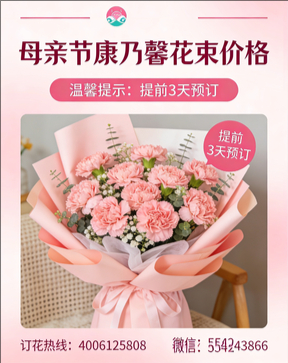 恩施州宣恩县花店母亲节康乃馨花束