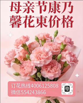 恩施州宣恩县花店母亲节康乃馨花束
